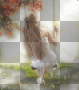 woman bg spring