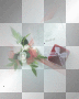background bl