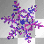 Purple Snow Flake