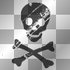 Flashy Silver Emo Skull