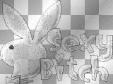 White Bunny Sexy Bitch