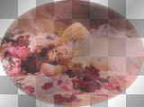 beauty in roses bed
