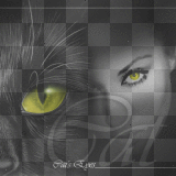 ojos eyes mujer gato ymialma