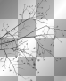 Tree transparent overlay black.