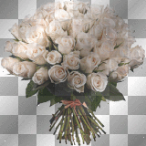 rosas flores roses ramo transparent ymialma