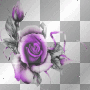 purple rose by selvaggia