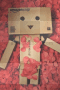 Danbo 