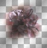 deco fiori p