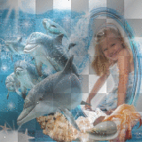 sweet little girl fantasy dolphin bg