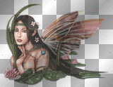 Fairy - onedream
