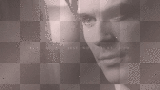 damon elena delena 