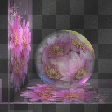 TOVERBOL BLOEM