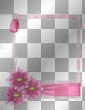 Macro de flores in pink
