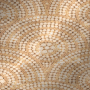 Diamond Doyle Animated BG~Orange©mousey2012