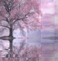 background ,.
