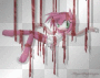 amy ...