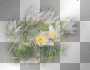 amon // pasque flowers