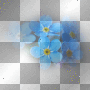 amon // forget - me - not