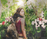 journey 2 the mysterious island