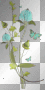 artemia