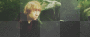Hermione & Ron