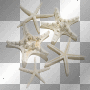 White starfish - onedream White starfish - onedream