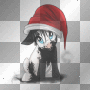 I Watching you