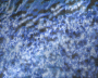 Glitter background Glitter background