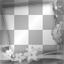 Frame black white flower  