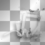 Frame black white birds