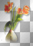 Tulips flowers orange Tulips flowers orange