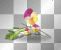 Flowers pink yellow