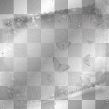 Background Transparent  black white    