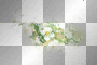 Flowers overlay green white 