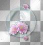 Bubble flowers teal pink background
