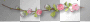 Pink flowers branch blossom 