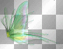 Fairy wings fantasy green Fairy wings fantasy green