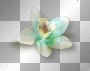 Flower green