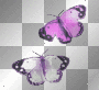 animated butterflies