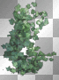 Spring summer vintage gothic plants green leaves