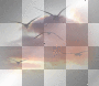amon // sunset