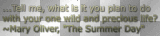 Quote Tell me what is it you plan to do with your one wild and precious life? ~Mary Oliver, "The Summer Day"  ~cbs