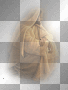 Jesus Christ sitting ' transparent