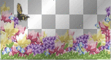 colorful flower butterfly border frame ' transparent