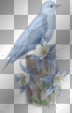 Bird - onedream