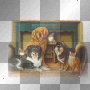 dog and cat,dubravka