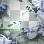 Frame flowers