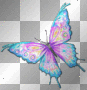 Blue Pink Butterfly__