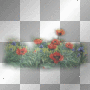 transparent spring flower dubravka