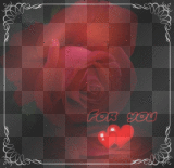 RED ROSES FOR YOU HEARTS  BG 
